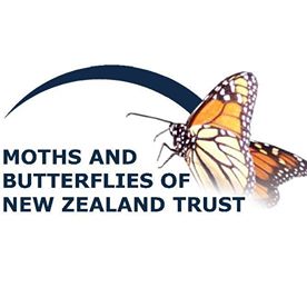 Tui - Moths And Butterflies