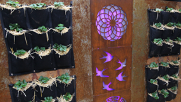 Strawberry Wall Garden