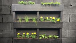 Creating a Pallet Garden