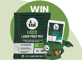 Win a lawn patching pack