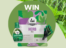 Win a herb growing pack