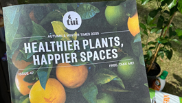 Tui Times Autumn / Winter 2025