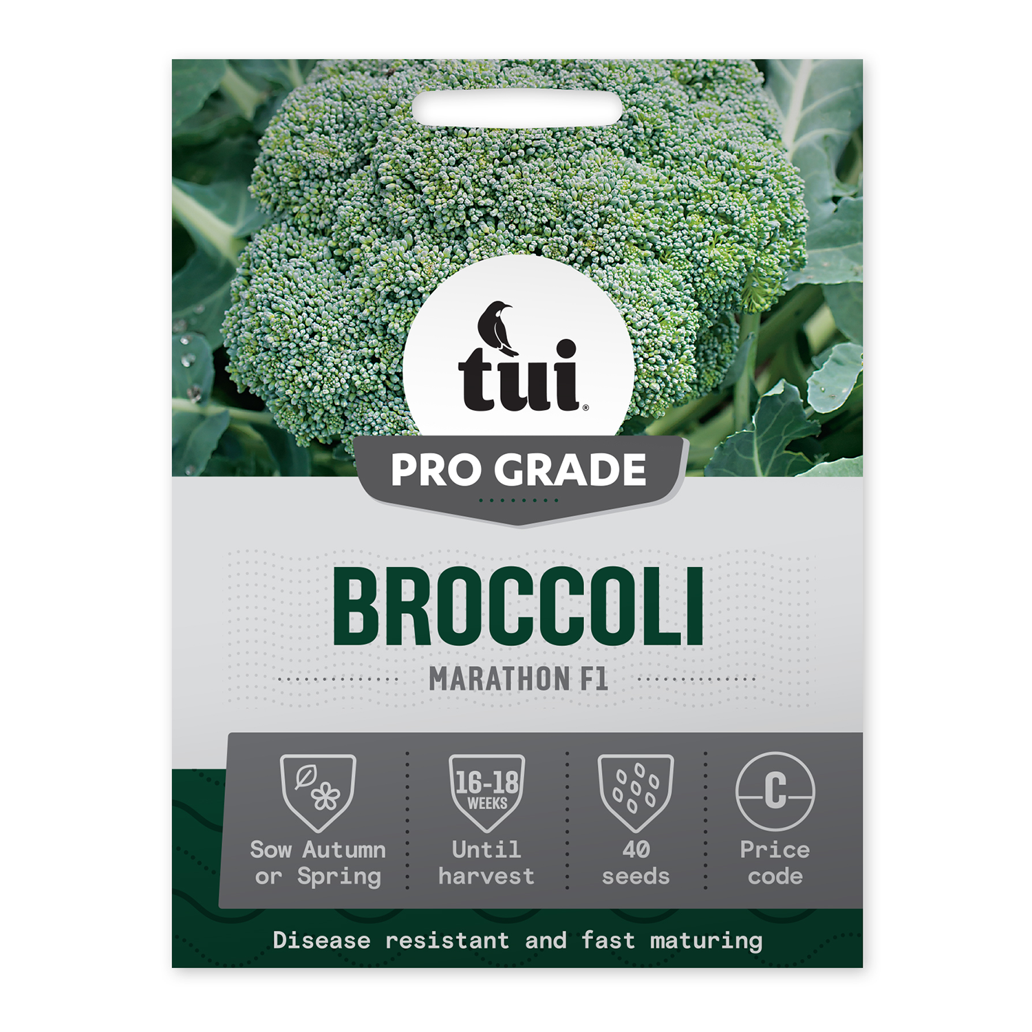 Broccoli - Marathon F1