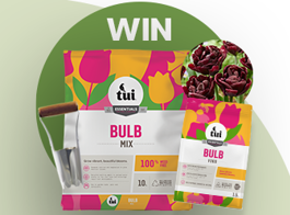 Win a bulb planting pack