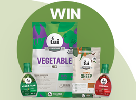 Win summer vege patch essentials