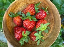 Strawberry Hub