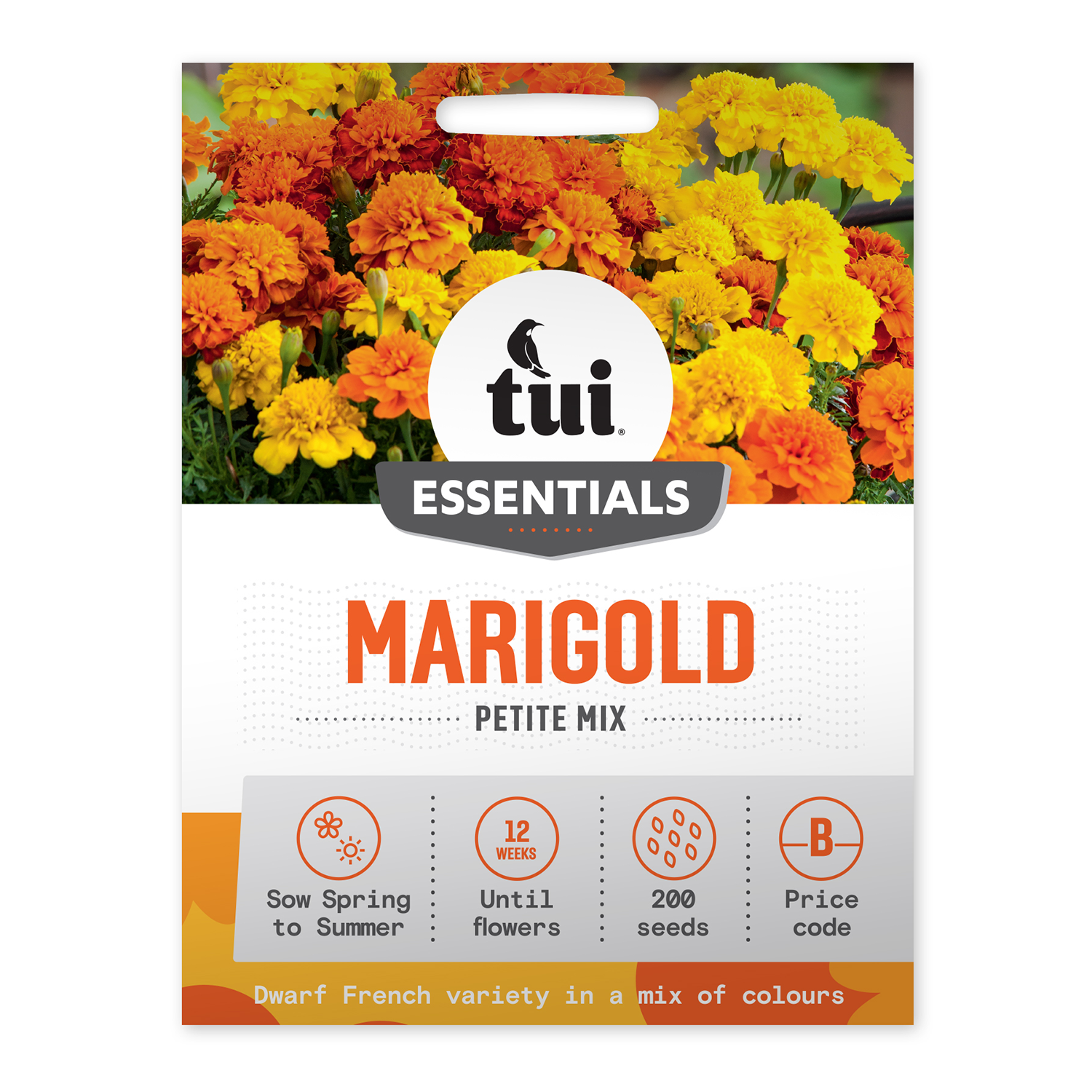Marigold - Petite Mix