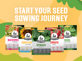 Start your Seed Sowing Journey with Tui