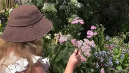 Drying Flowers with Poppy