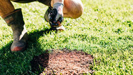 How to Patch a Lawn