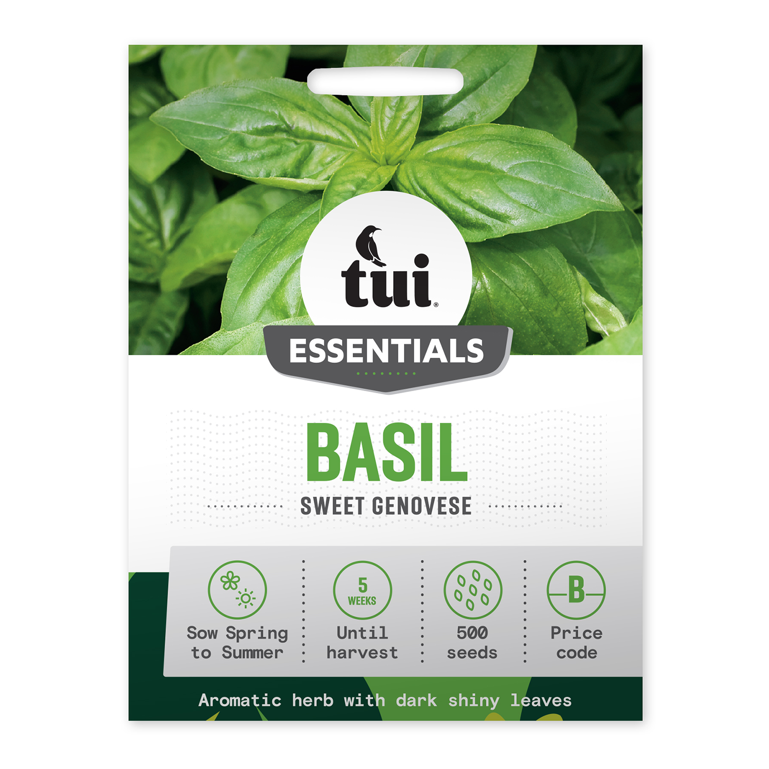 Basil - Sweet Genovese