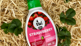 Discover Tui Strawberry Liquid Superfood